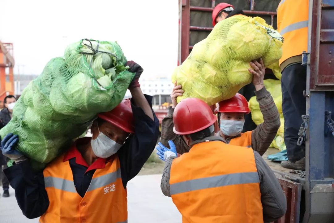 蔬菜水果来啦！广西铁路发出首趟支援武汉的冷链民生物资专列！ 