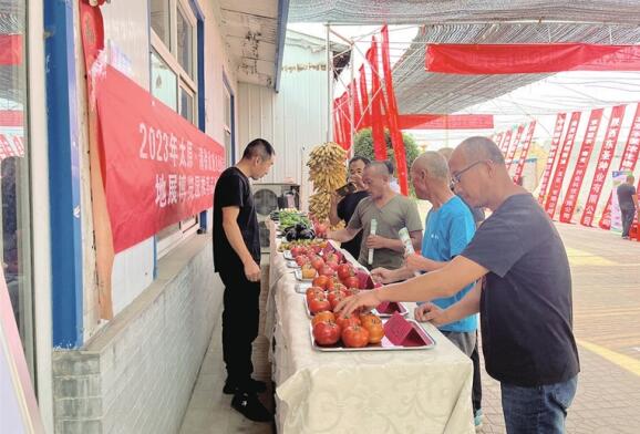 500余个特色瓜菜新品亮相地展观摩会