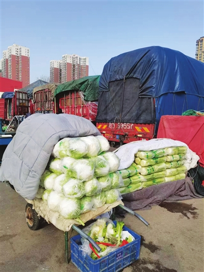 本地冬储菜陆续上市 量足价优受市民青睐